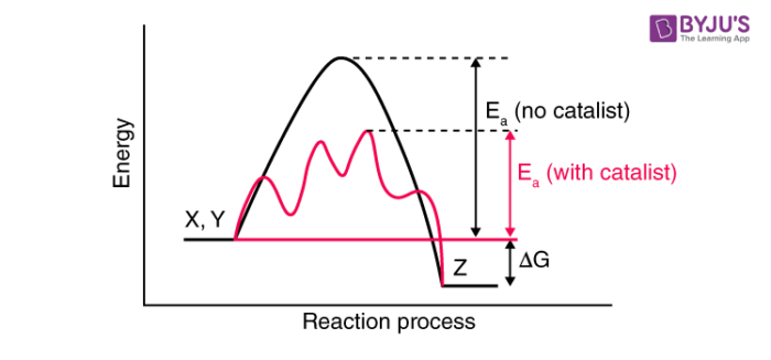 Difference Between Catalyst and Inhibitor  Compare the Difference Between  Similar Terms