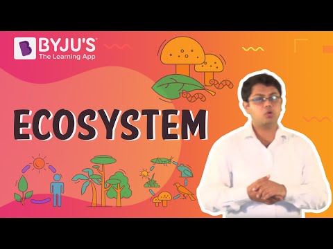 assignment of ecosystem