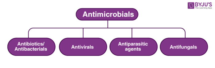 Overview of an antimicrobial agents - Microbiology Notes