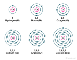 Atomic Number Orbital Energy Levels Atomic Number Orbital Energy Levels