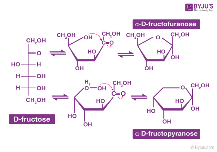 carbohydrate diagram structure