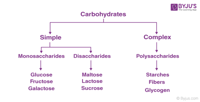 carbohydrates type of molecule