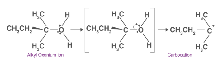 Carbocation Formation Carbocation Formation