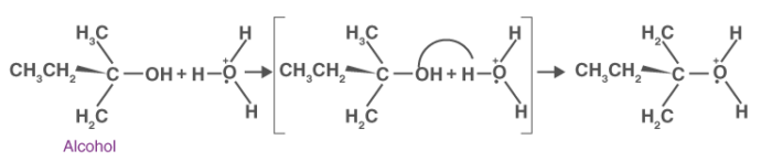 Formation of Protonated Alcohol Formation of Protonated Alcohol