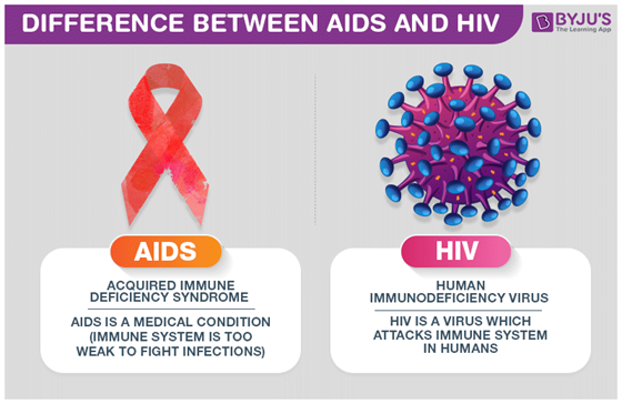 Difference Between AIDS and HIV - A Detailed Overview