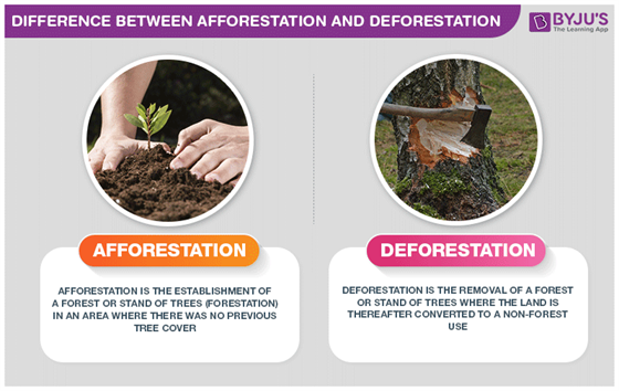 Difference Between Afforestation and Deforestation