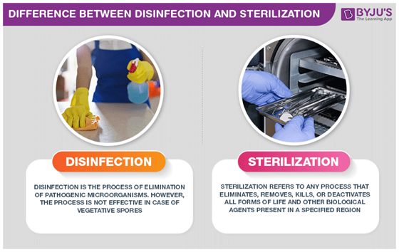 Explain The Difference Between Disinfection And Sterilization 2634