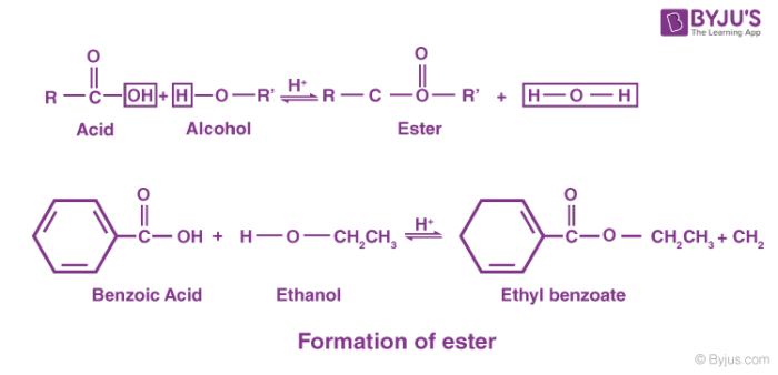 Ester Definition Structure Esterification Along With Properties Uses