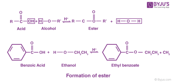 Ester Definition Structure Esterification Along With Properties Uses Ester Definition Structure Esterification Along With Properties Uses
