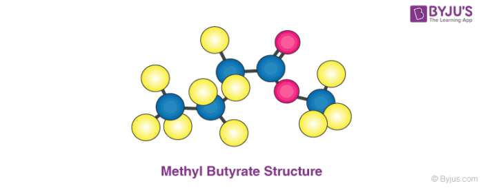 Methyl Butyrate Structure