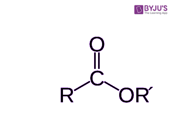 ester structural formula