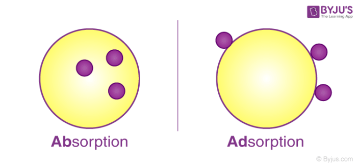 Adosrption vs absorption