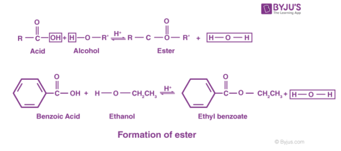 Ester Definition Structure Esterification Along With Properties Uses