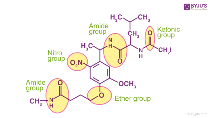 Functional Groups in Organic Chemistry