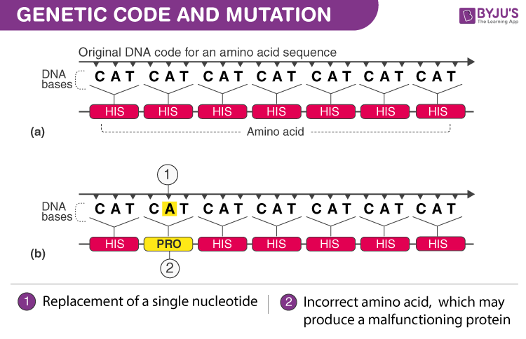 Genetic Code And Mutation - An Overview