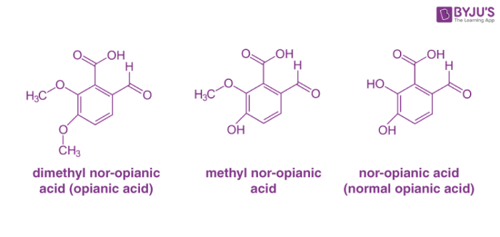 Homologous Series Examples