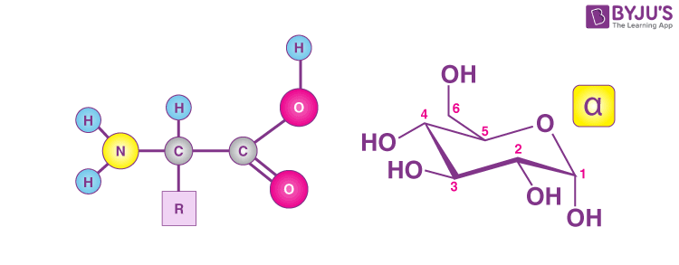 Metabolites And Biomacromolecules - Primary & Secondary Metabolites