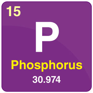 phosphorus atom project