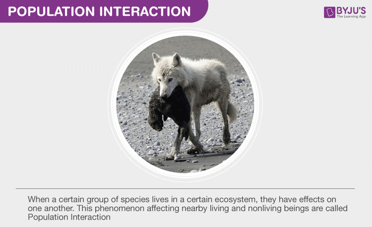 Population Interaction Modes Of Interaction Between Population