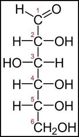 Simple Carbohydrate - Glucose Simple Carbohydrate - Glucose