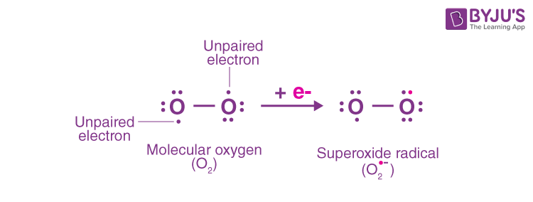 Lewis structure of O2-