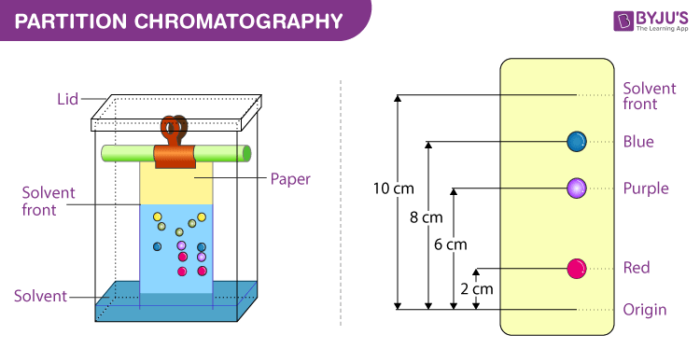 Partition chromatography