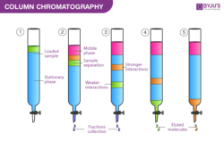 Chromatography Principle and its Types - Definition, Principle, Types ...