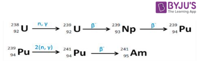 Production of Americium