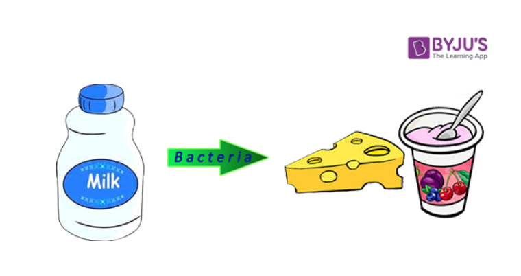 Reversible and Irreversible Changes