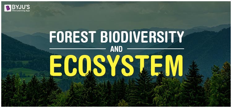 Forest Biodiversity