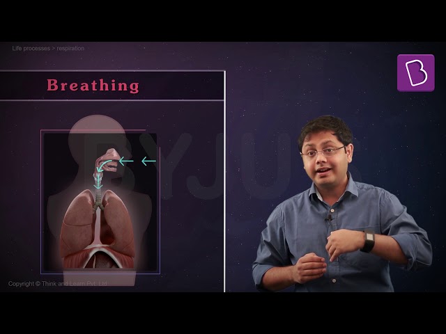 case study on respiration class 10