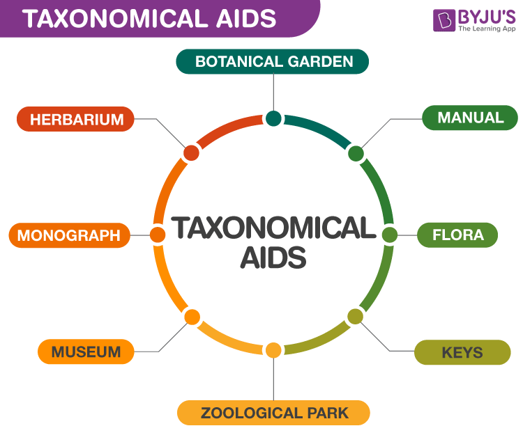 what is taxonomical aids in biology class 11