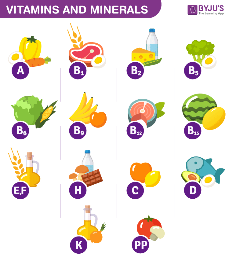 Vegetable Chart Vitamins And Minerals