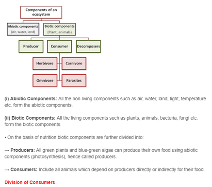 Class 10 Science Chapter 15 - Our Environment