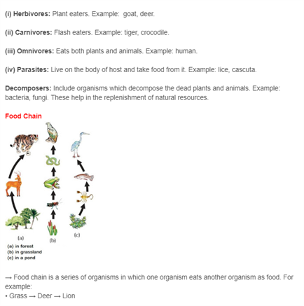 Class 10 Science Chapter 15 - Our Environment