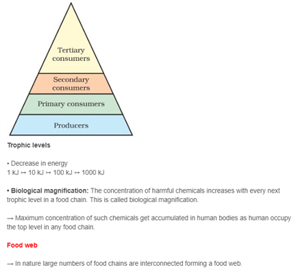 Class 10 Science Chapter 15 - Our Environment