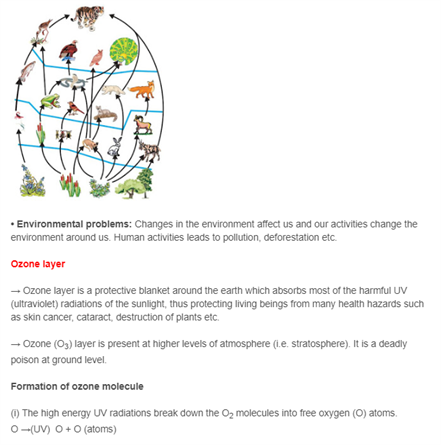 Class 10 Science Chapter 15 - Our Environment