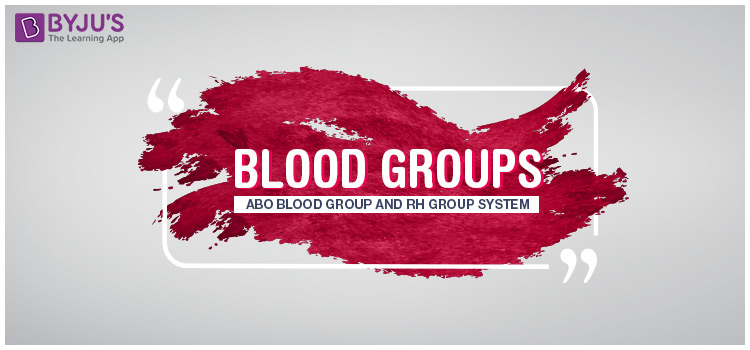 seminar presentation on blood group