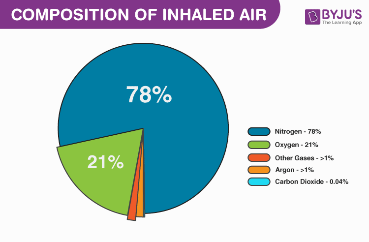 Pie Chart Showing Gases In The Air