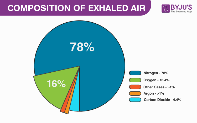 Gases we Breathe Out