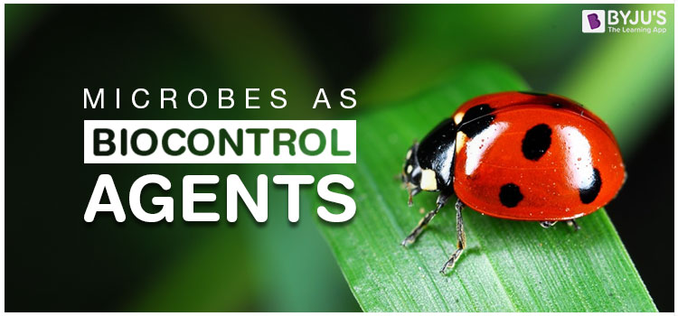 Microbes As Biocontrol Agents - An Overview