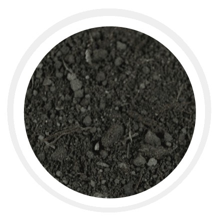 types of soil black soil