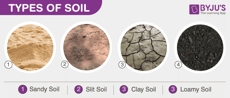 types of soil chart