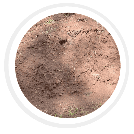 clay soil vs sandy soil