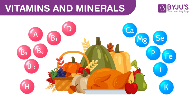 Vitamins And Minerals Sources And Functions Chart