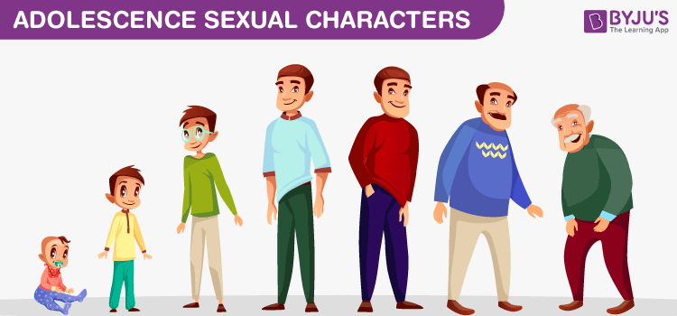 Adolescence Sexual Characters