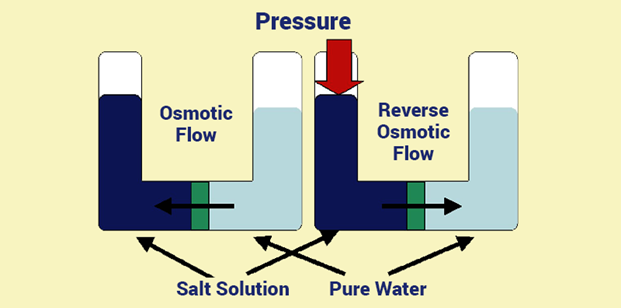 Reverse flow. Osmosis and osmotic Pressure.