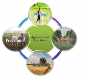 Agricultural Practices