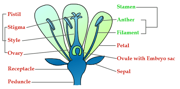 Science Charts For Class 7