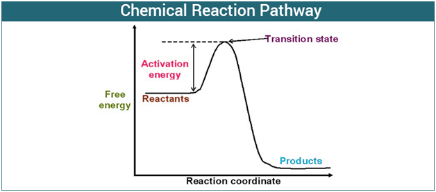 Enzymes Enzymes